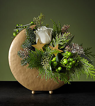 Christmas Among The Stars